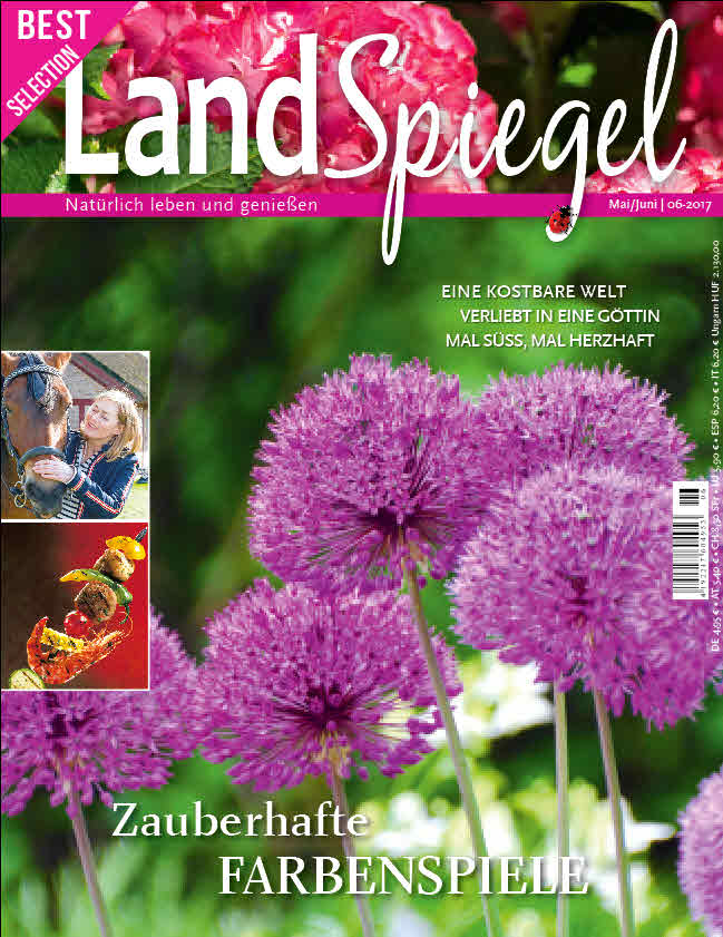 LandSpiegel 06 2017 Hauptheft