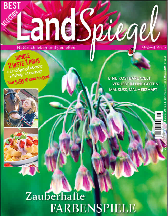 LandSpiegel 06 2017
